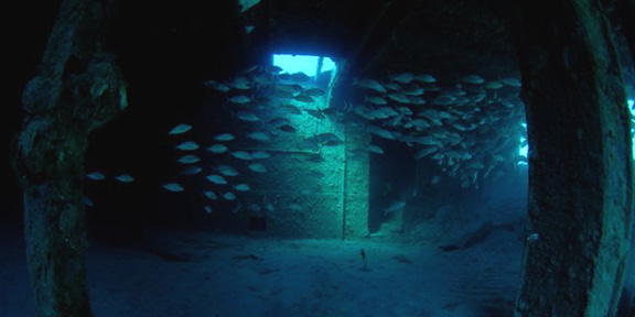 Dive With South Florida Diving Headquarters
